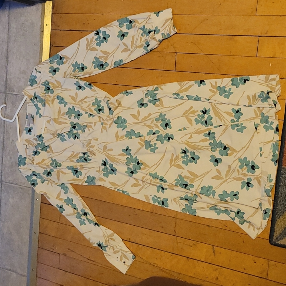 Womans long sleeve dress